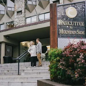 Hotel Mountain Side By Executive